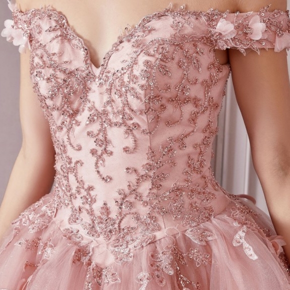 COPY - Rose gold beaded prom party pageant quencenara dress - Picture 3 of 9